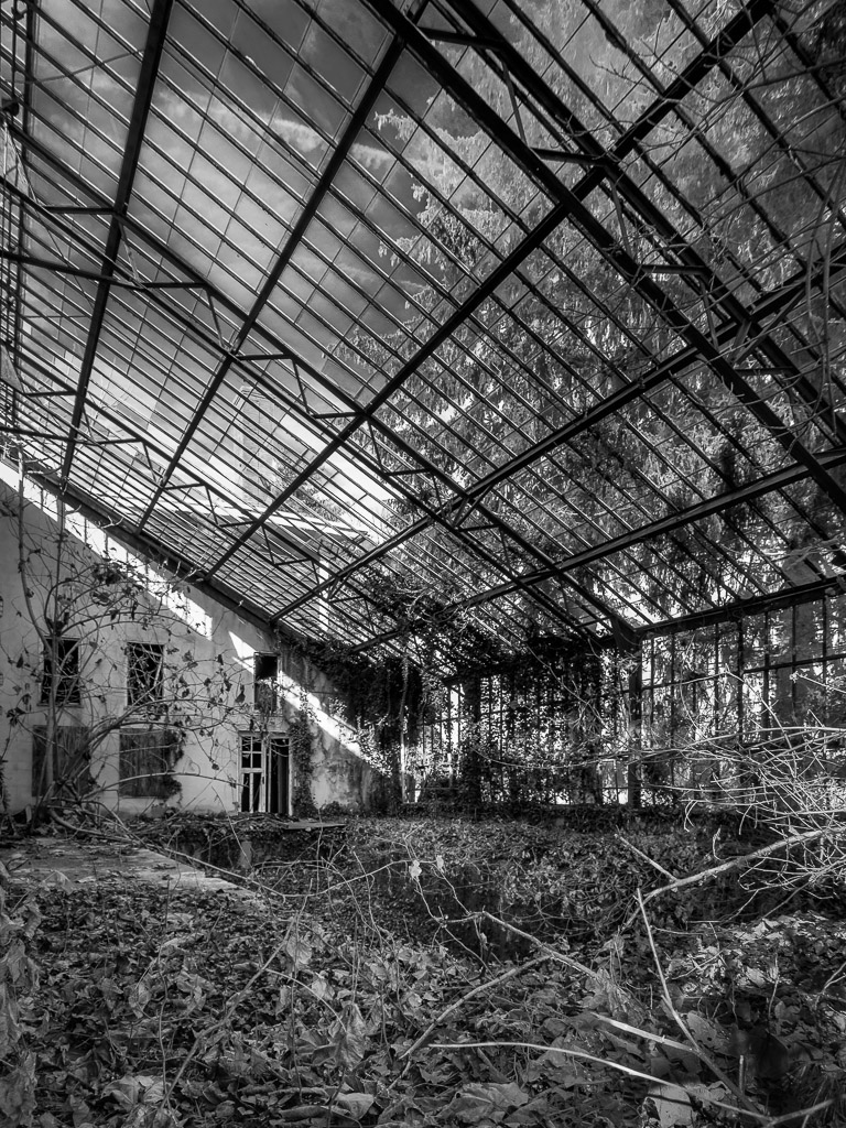 It can scarcely be called a greenhouse.  I found this today at lunch and had to teeter precaruiyskt ib a narrow ledge to get this through a broken pane.