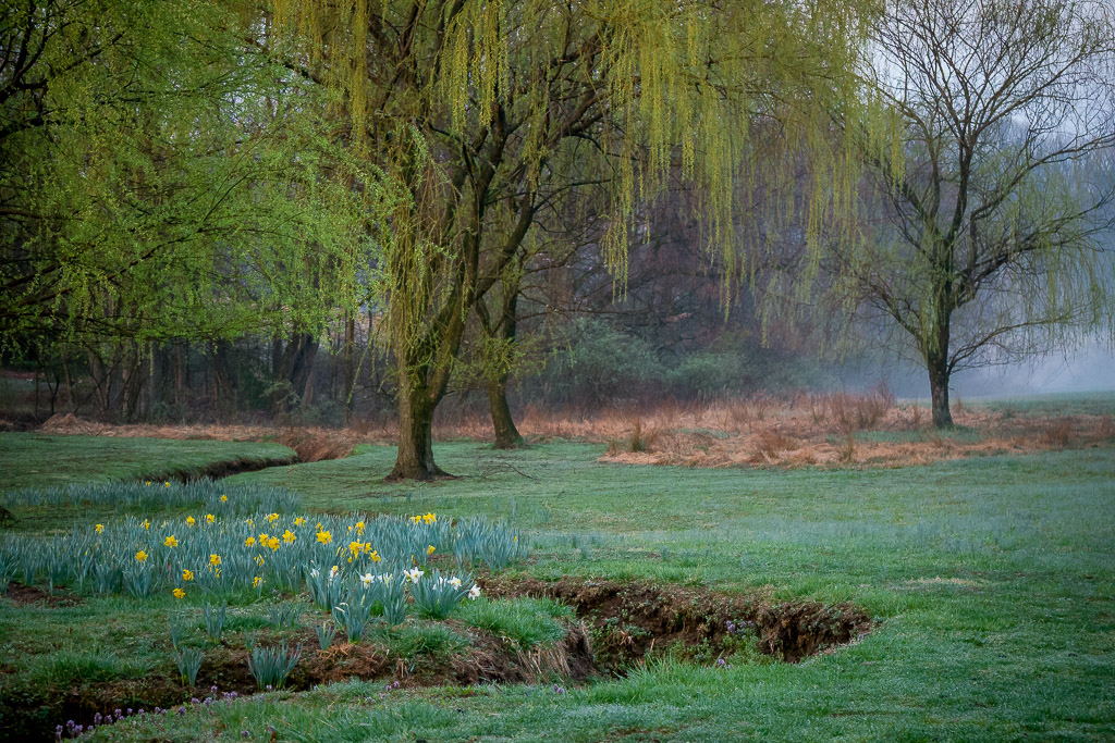 I pass this scene every morning but today with the hanging fog I had to get out and take a photo.  

It's on the private estate of a wealthy individual, but this is immediately adjacent to the road and has that subtle 