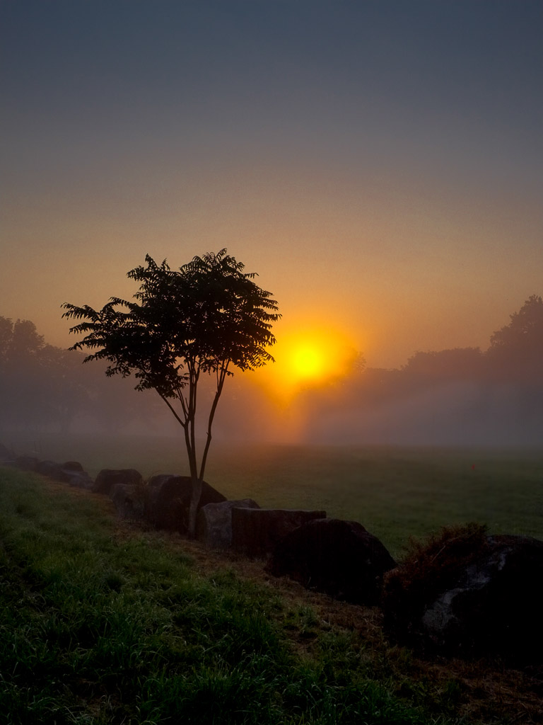 Another shot from a foggy sunrise I shot a week or two ago.

Fuji X100.

Please like my Facebook Artists page: <a href=