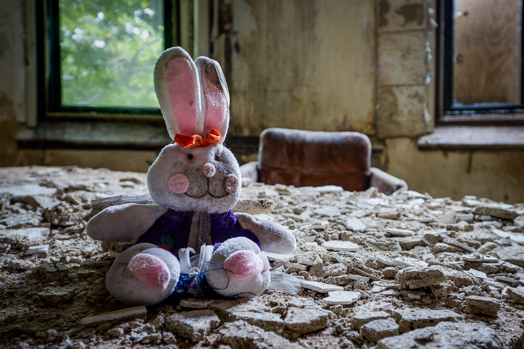 I just met this diminuitive rabbit today.  Turns out she's related  to the bunny in 