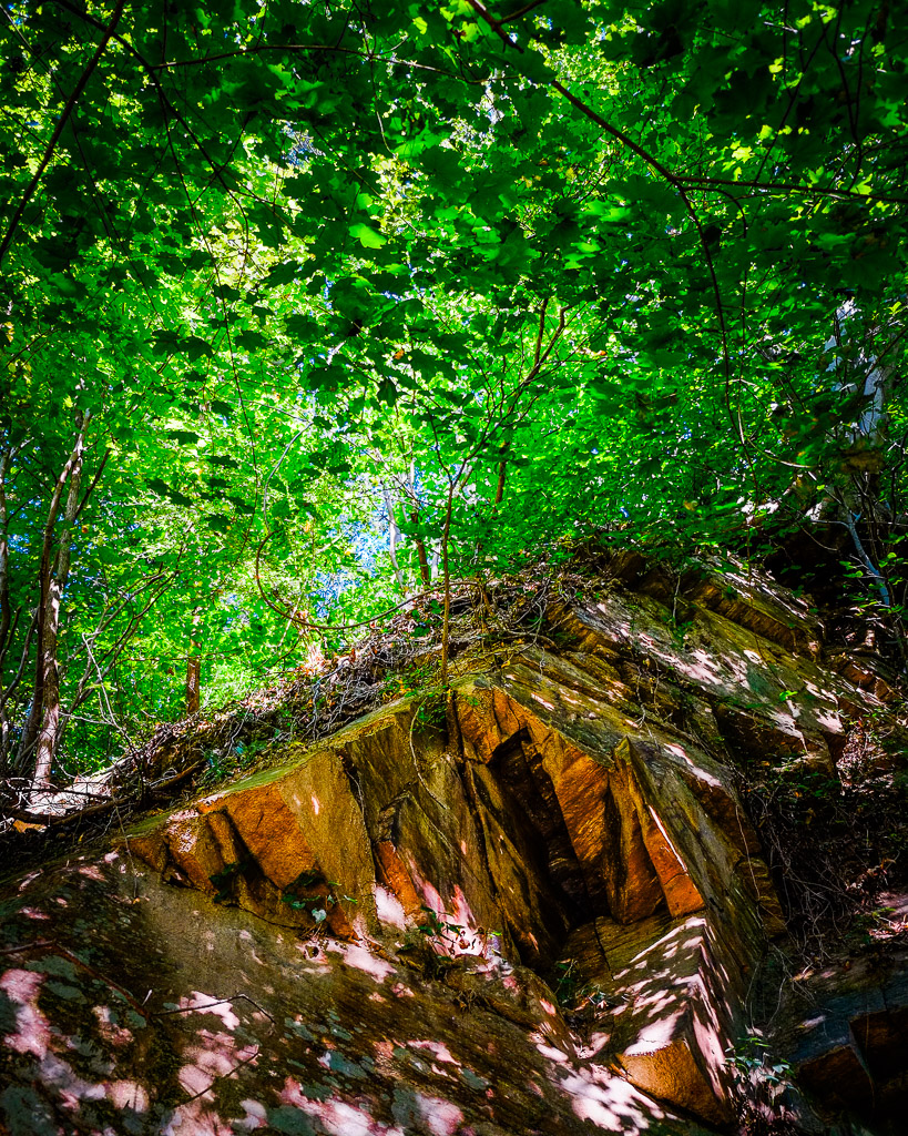 Looking up the slope from the bottom of a long-abandoned, small stone quarry in the Brandywine Valley.

Fujifilm X-E1 and 18-55mm f/2.8-4 lens in Velvia film simulation mode.

Please like my Facebook Artists page: <a href=