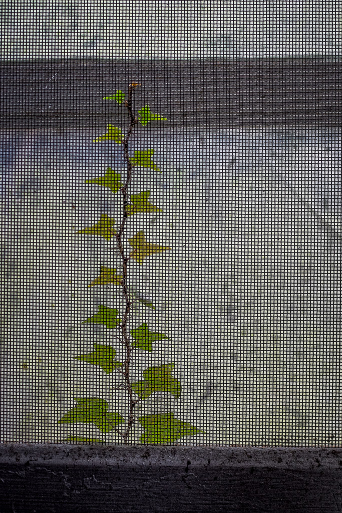 Took my brother Mike and urbex newcomer John back to Embersville for a short trip.  We only did about 3 hours but I video'd the whole thing with a Sony HDR-AS100V Action Cam -- now I have over 3 hours of footage to go through, lol.

www.entropicremnants.com