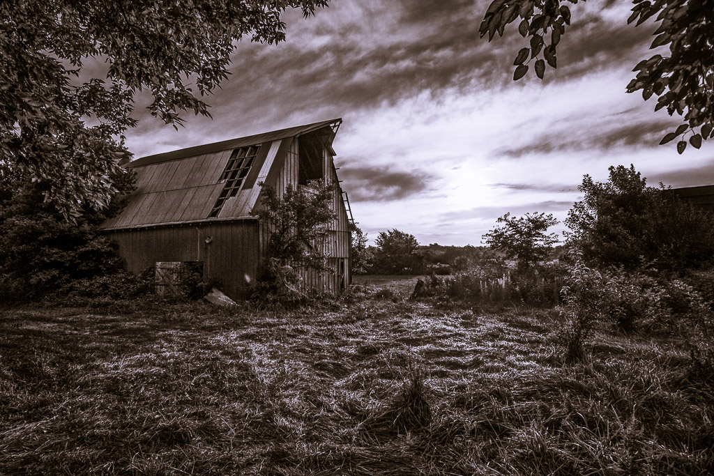 Nobody's making hay...