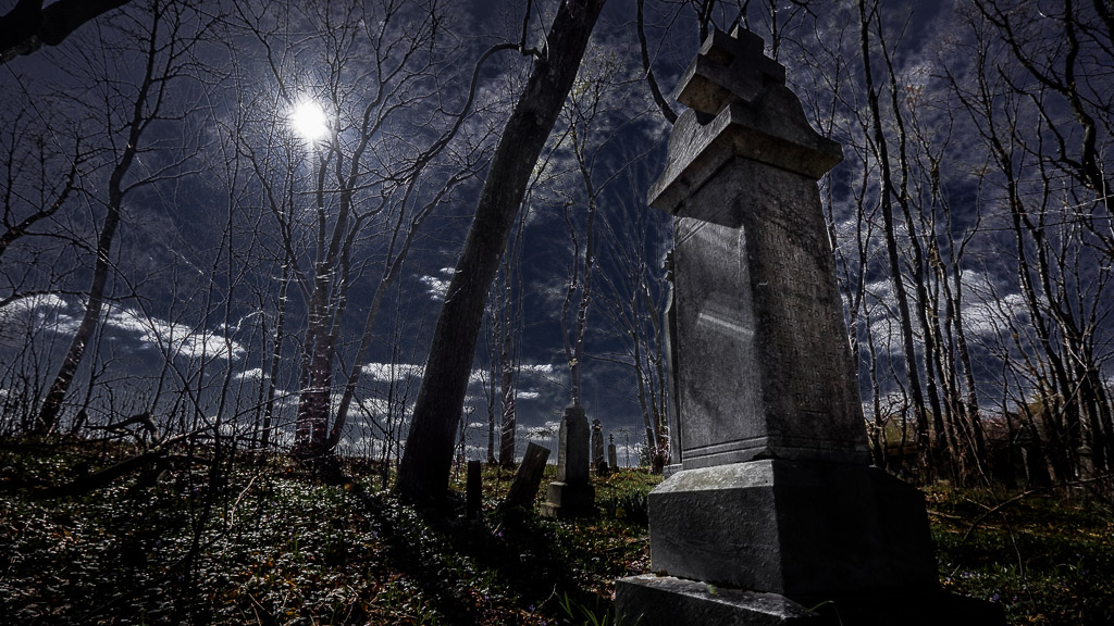 Standing watch in the forgotten cemetery in the woods.

www.entropicremnants.com
