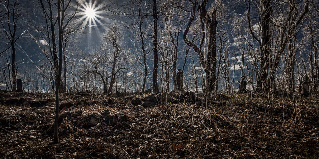In the abandoned ghost town of Wehrum is this cemetary in the woods.  Long neglect has resulted in burial crypts made of local stone beginning to rise up out of the ground... where's my wooden stake?...

www.entropicremnants.com