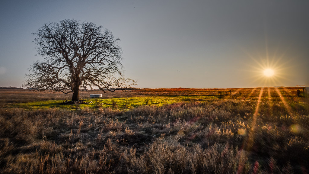 Little different realization of one of the previous shots -- this one from an HDR merge of two shots.

Snapshots from my Texas travels for my new job.

home: http://www.entropicremnants.com
blog: http://blog.entropicremnants.com
youtube: http://www.youtube.com/entropicremnants